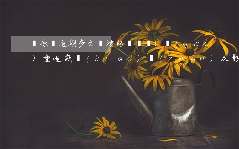 郵你貸逾期多久會被起訴？嚴(yán)重逾期標(biāo)準(zhǔn)及影響信用解析